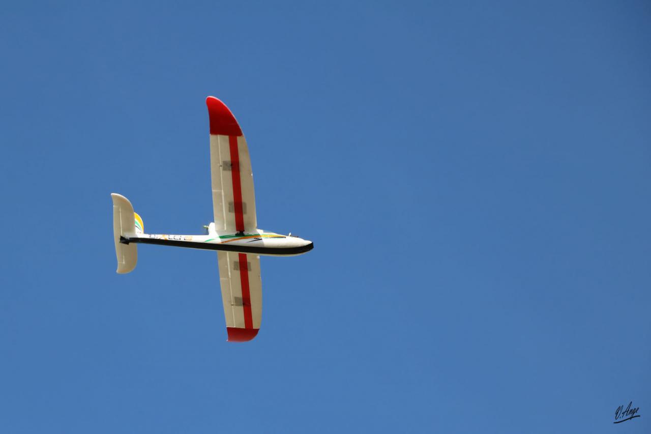 L'avion pour prises de vues aériennes